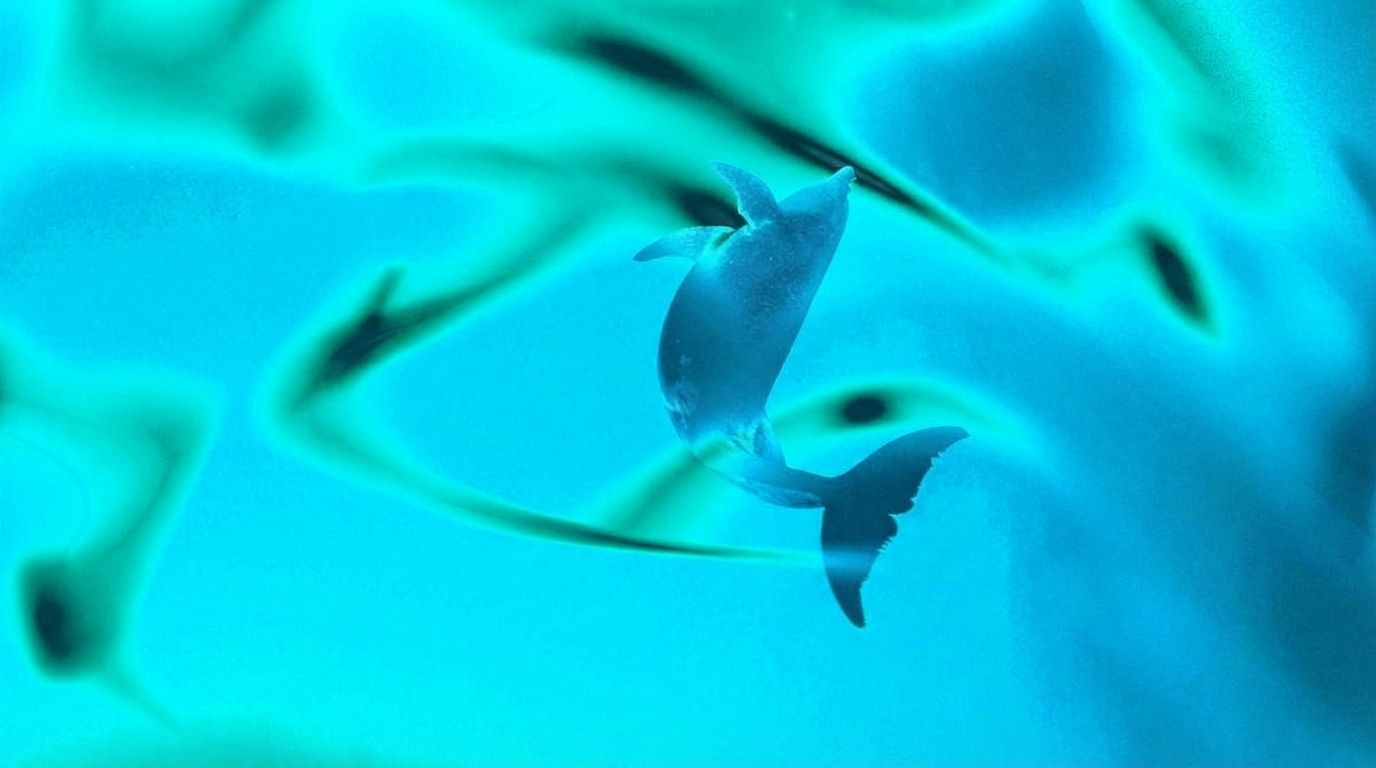 Ethereum ICO whale offloads $23M in ETH after 10-year hold